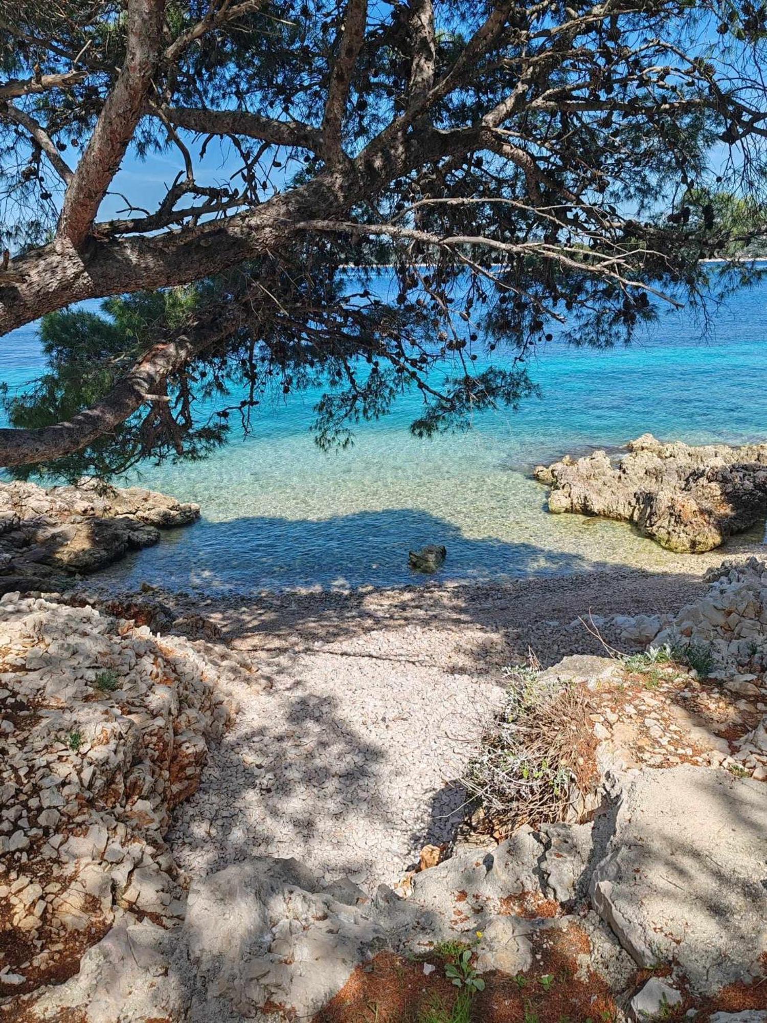 House Kod Dide Vila Primošten Exterior foto